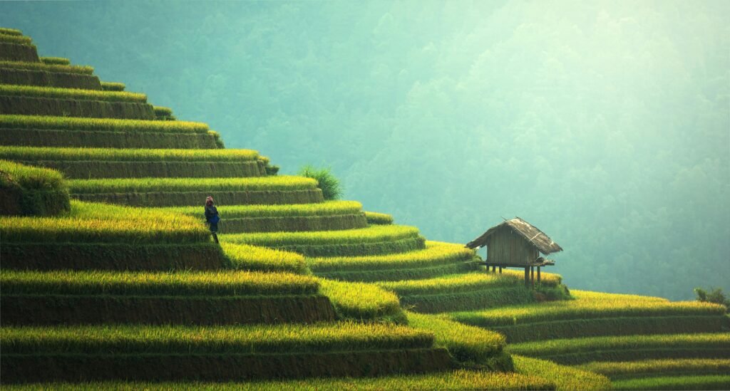 A picturesque view of rice terraces and a small hut in the misty Asian countryside.